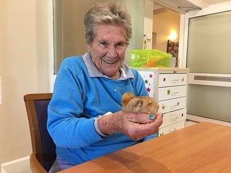 Hall & Prior Menaville Aged Care Home activity