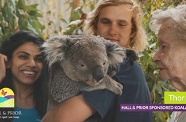 VIDEO: Introducing our sponsored koalas!